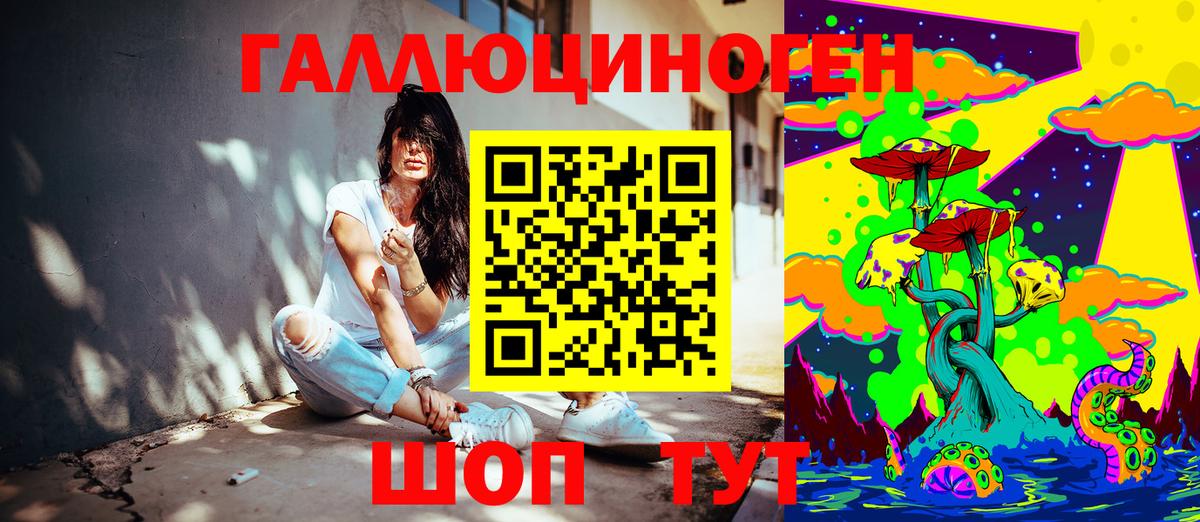 Большой Камень  Псилоцибиновые грибы Psilocybine cubensis  Вход с VPN 