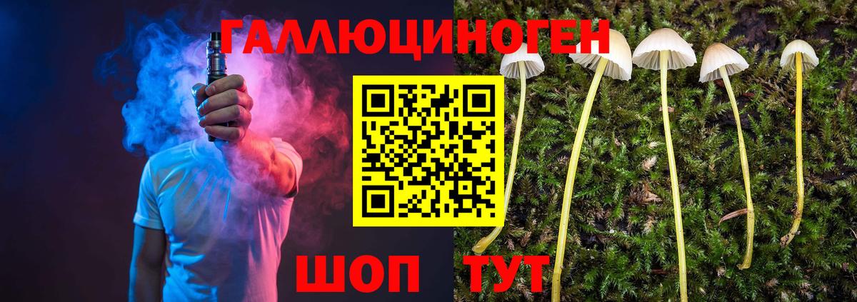 Псилоцибиновые грибы Cubensis Большой Камень